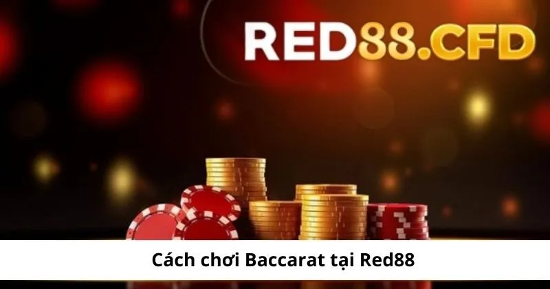 Các bước chơi Baccarat tại Red88 đơn giản