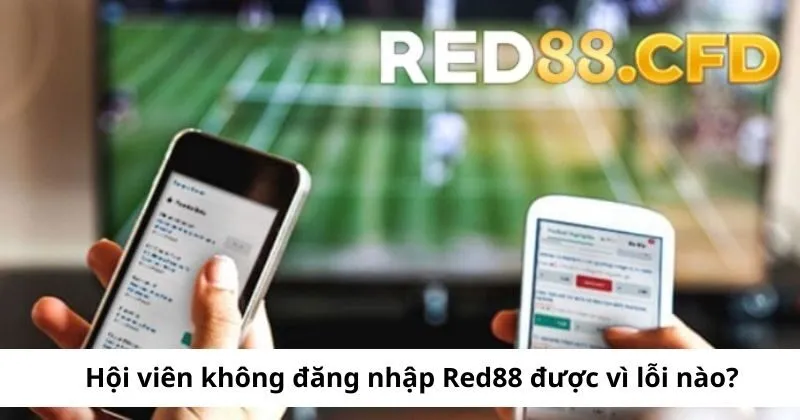 Lỗi không đăng nhập được tại Red88