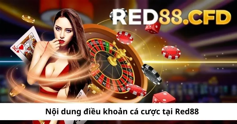 Tìm hiểu nội dung điều khoản cá cược tại Red88